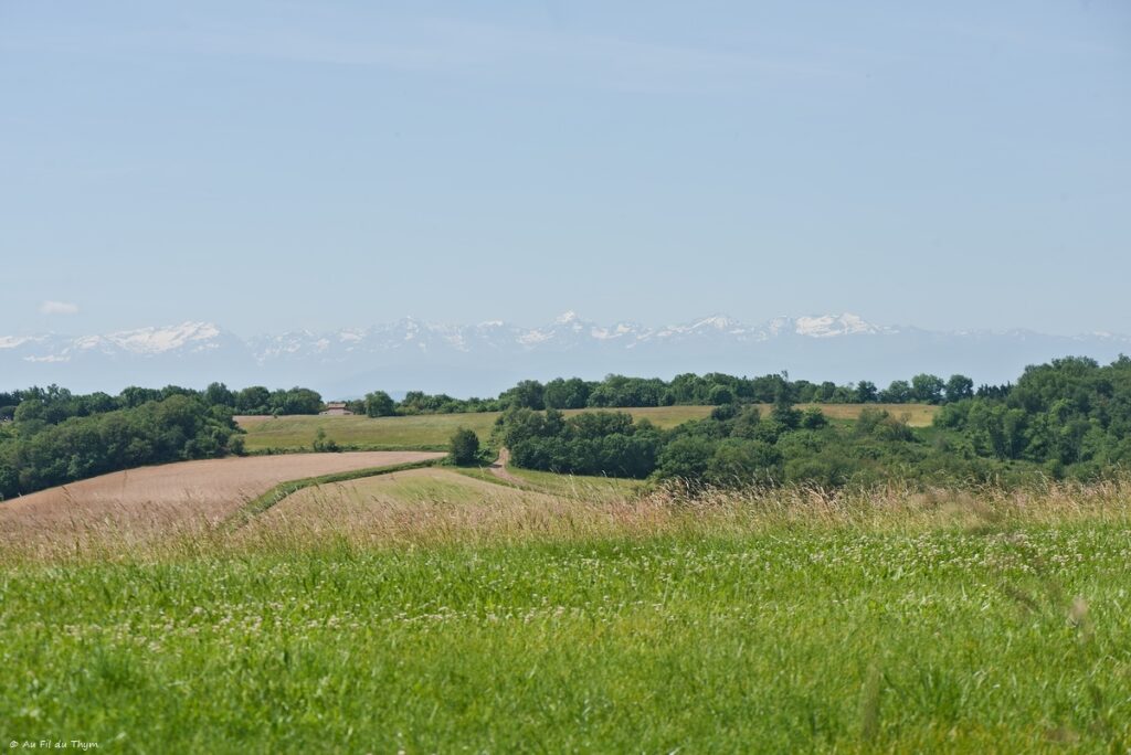 Randonnée Lac de Savères - Entre Lautignac et Savères