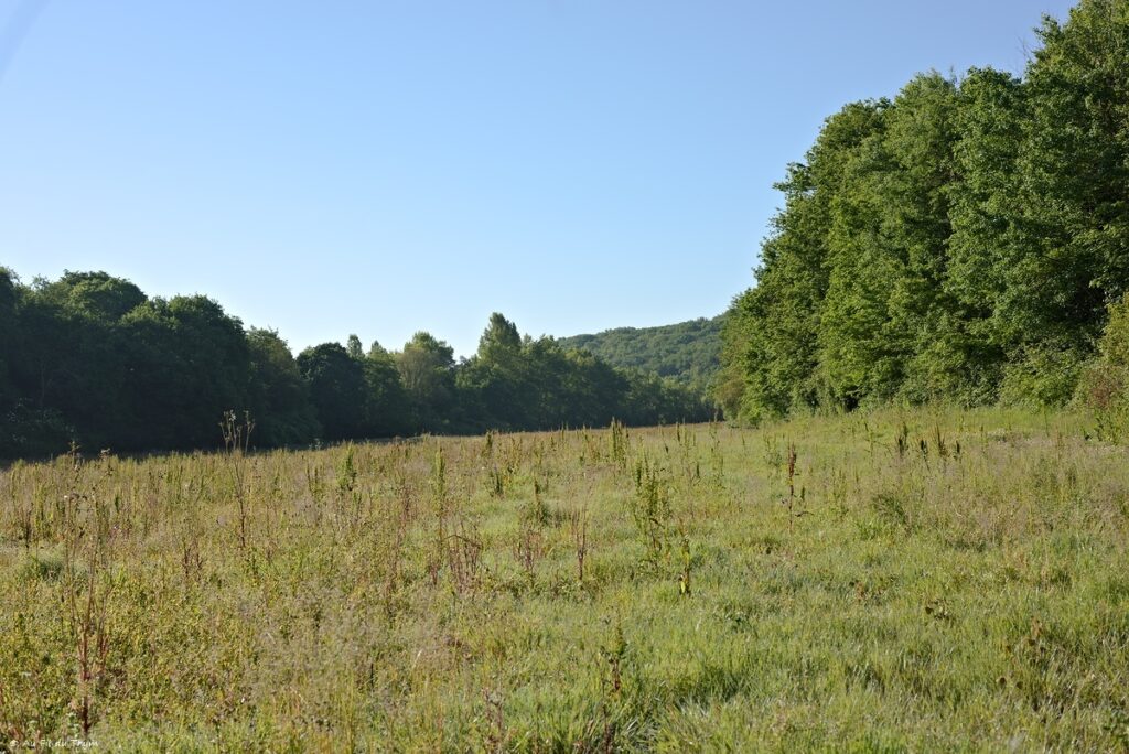 Randonnée Lac de Savères - Entre Lautignac et Savères