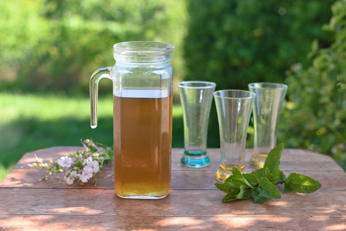 Sirop de menthe maison