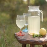 Citronnade Mélisse