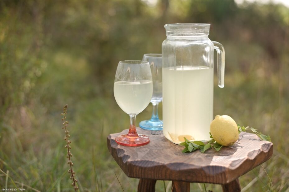Citronnade Mélisse