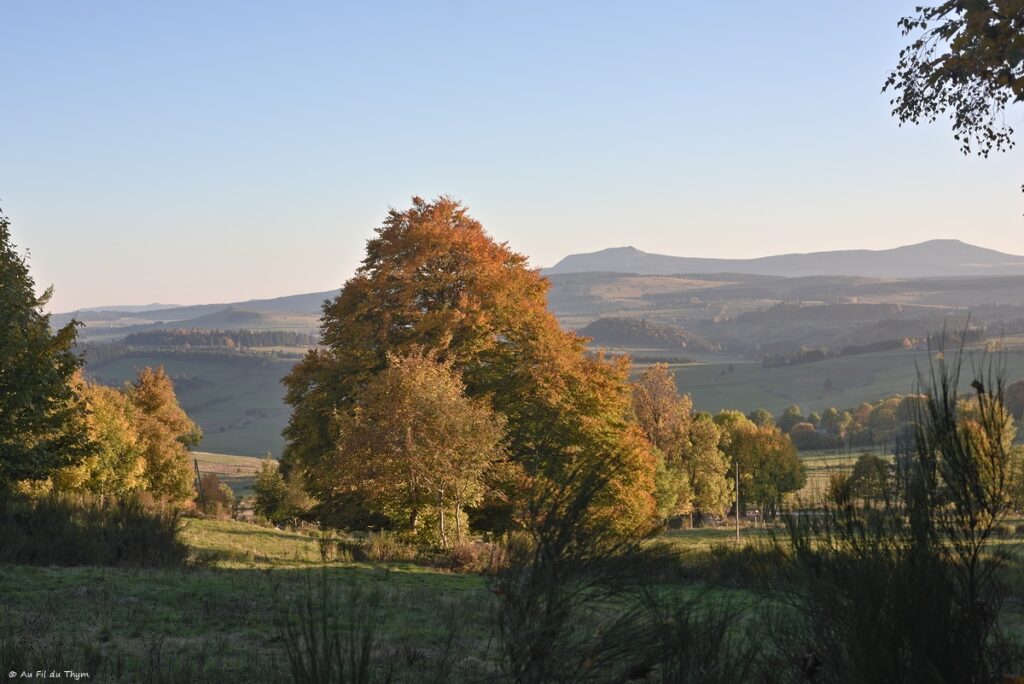 Haute Loire à l'automne - Vers le Mézenc