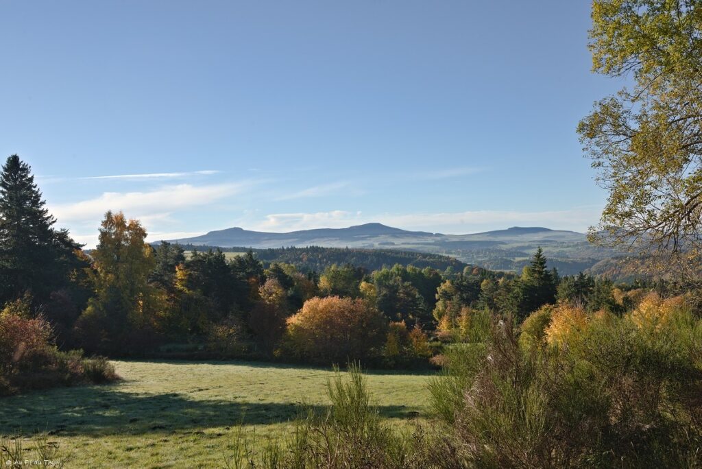 Dans les forêts du Meygal