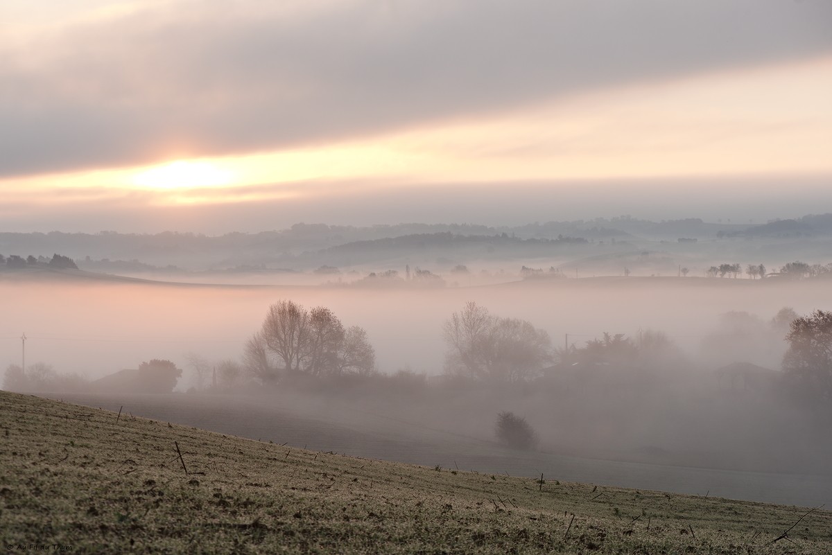 Rétrospective 2025 & petits bonheurs