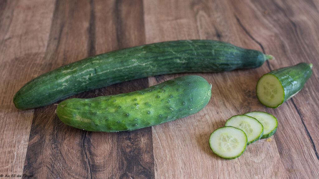 Concombre