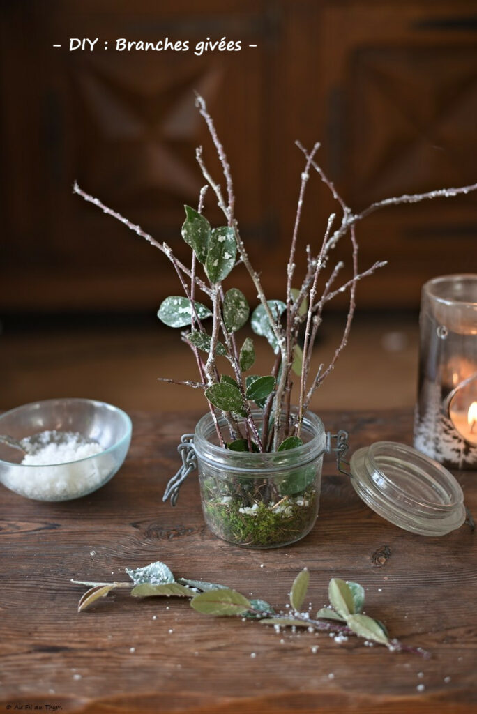 DIY : branche givrées