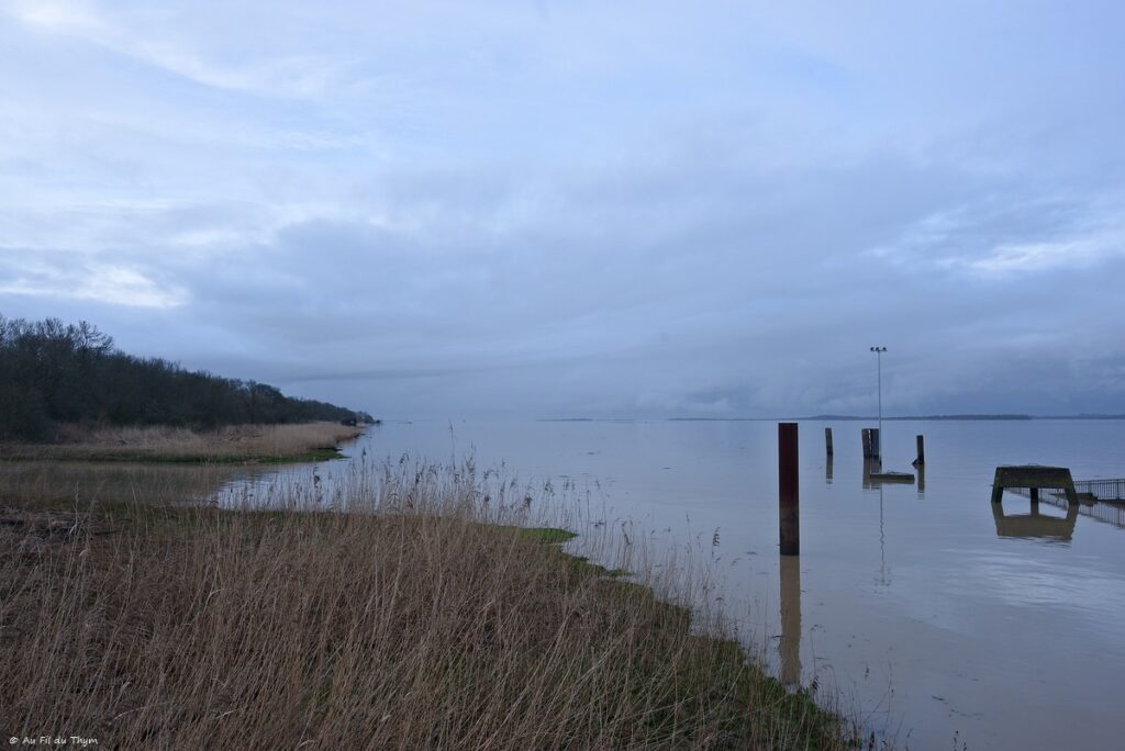 Bac Lamarque à Blaye - Gironde