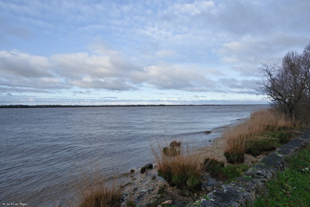 Estuaire Gironde - Hiver 2026