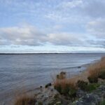 Estuaire Gironde - Hiver 2026