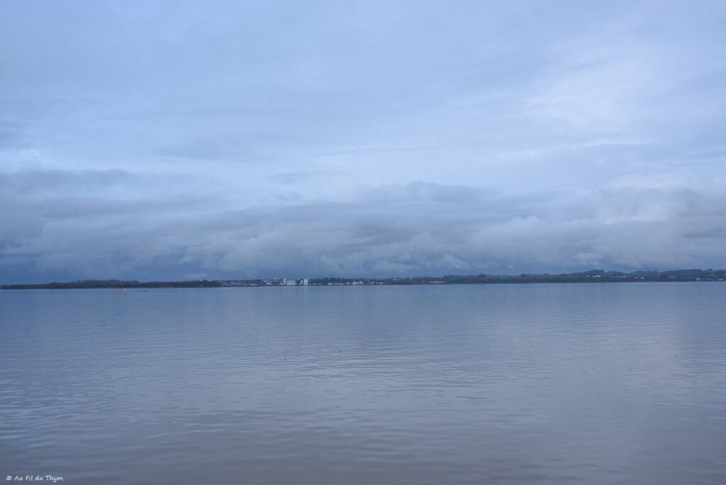 Bac Lamarque à Blaye - Gironde