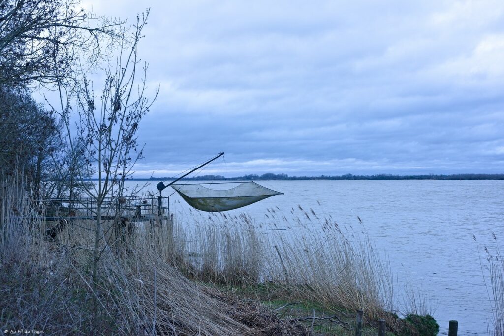 Estuaire Gironde - Hiver 2026