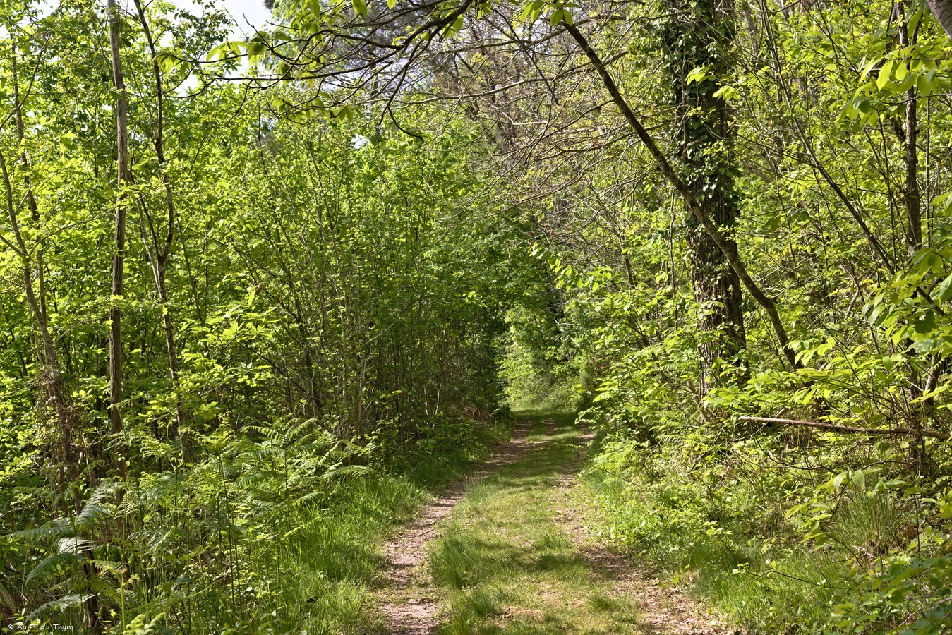 Boucle des crêtes du Villamblard