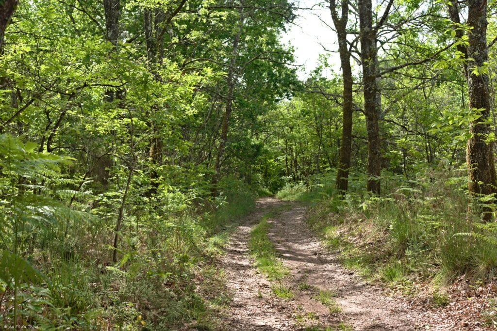 Boucle des crêtes du Villamblard