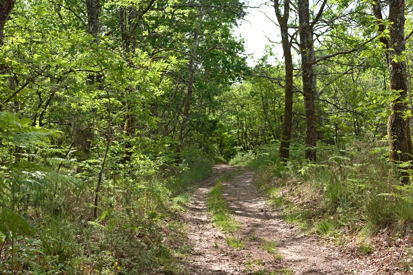 Boucle des crêtes du Villamblard