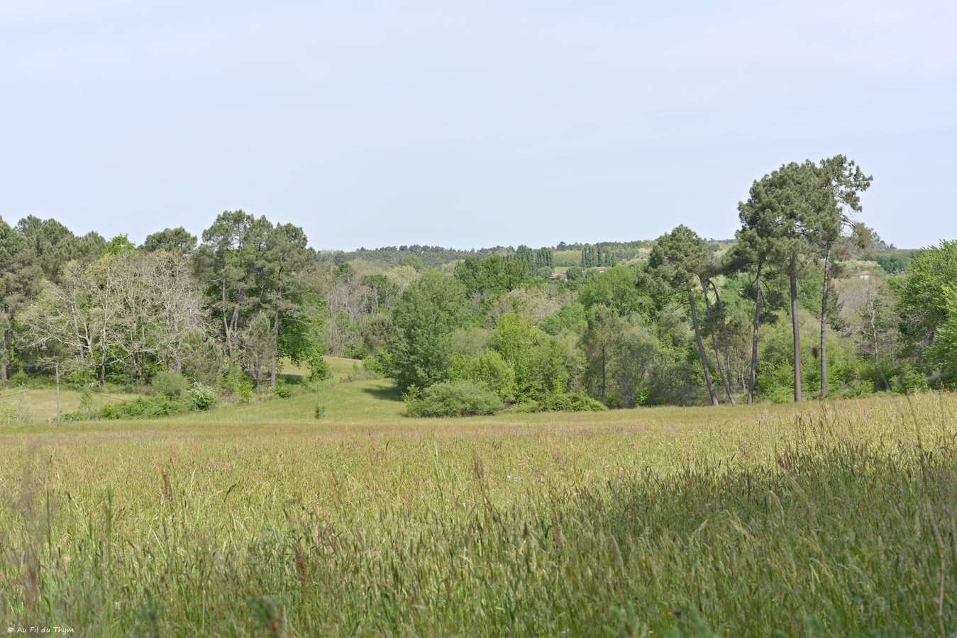 Boucle des crêtes du Villamblard