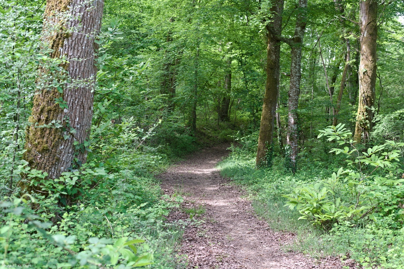 Boucle des crêtes du Villamblard
