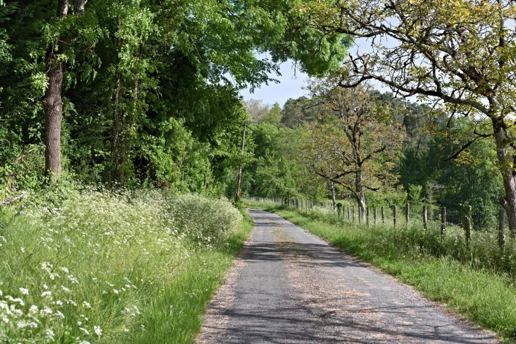 Boucle des crêtes du Villamblard