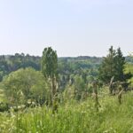 Boucle des crêtes du Villamblard
