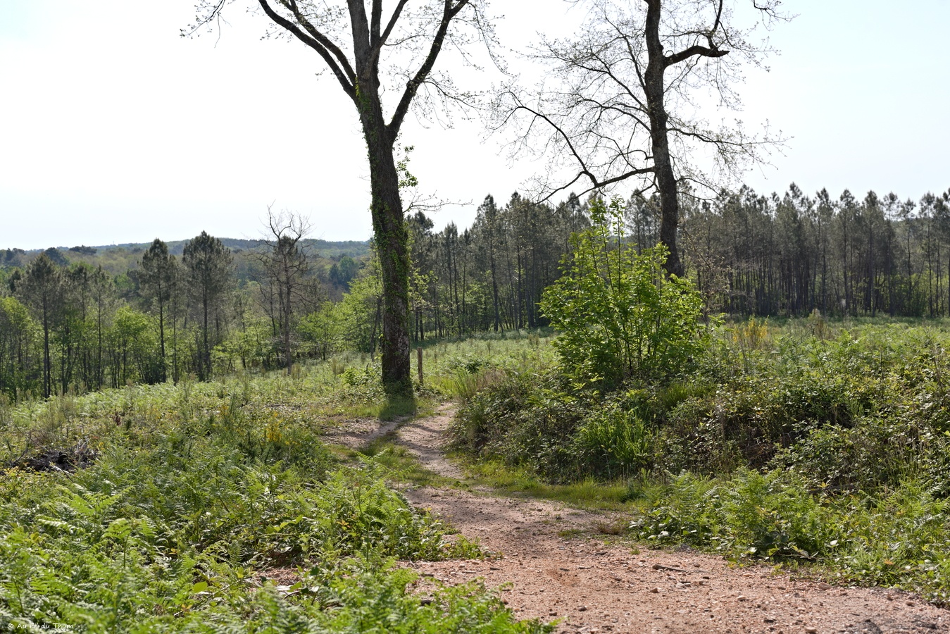 Boucle des crêtes du Villamblard