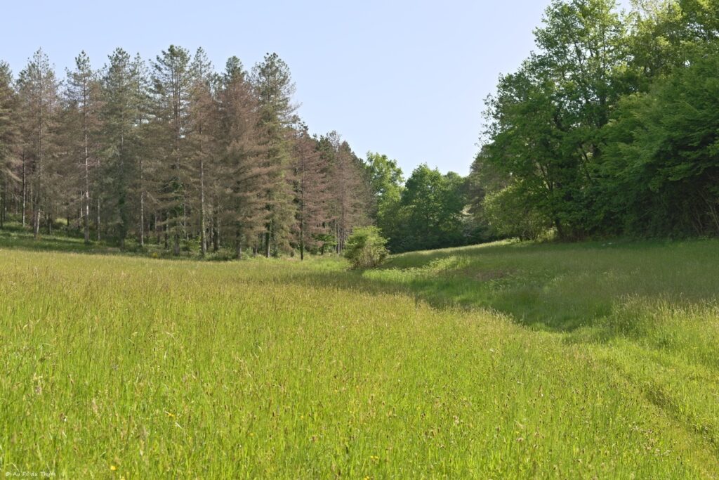 Boucle des crêtes du Villamblard