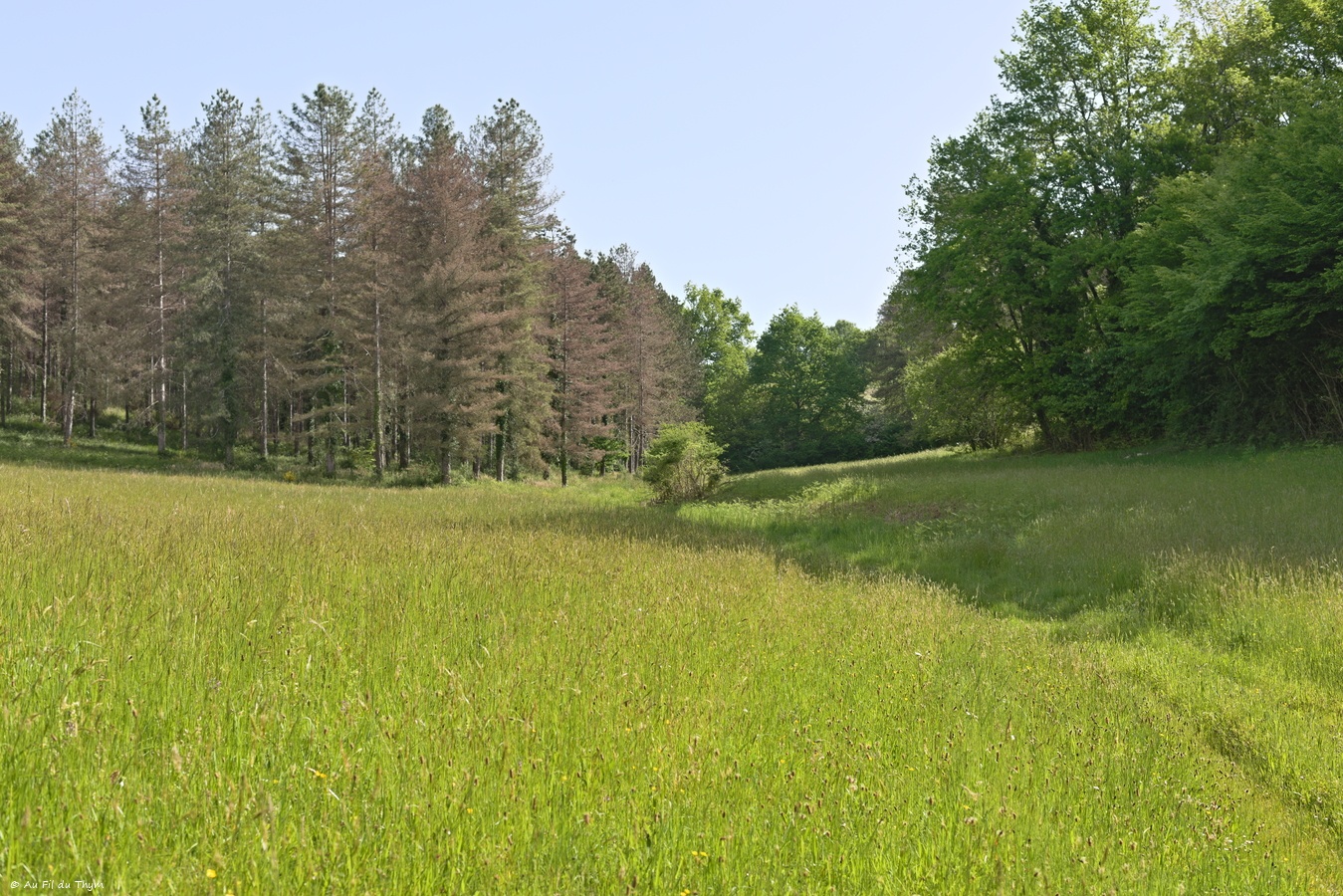 Boucle des crêtes du Villamblard