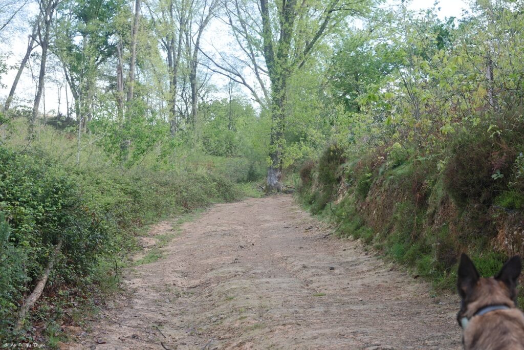 Tour de l'Ibantelli - Avril 2025