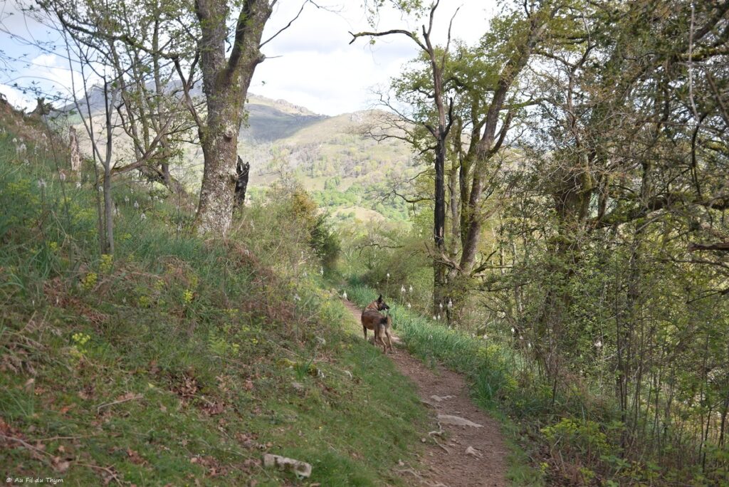Tour de l'Ibantelli - Avril 2025