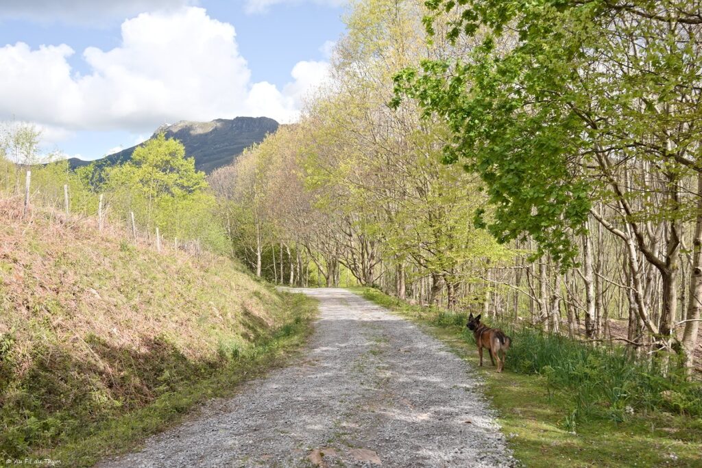 Tour de l'Ibantelli - Avril 2025