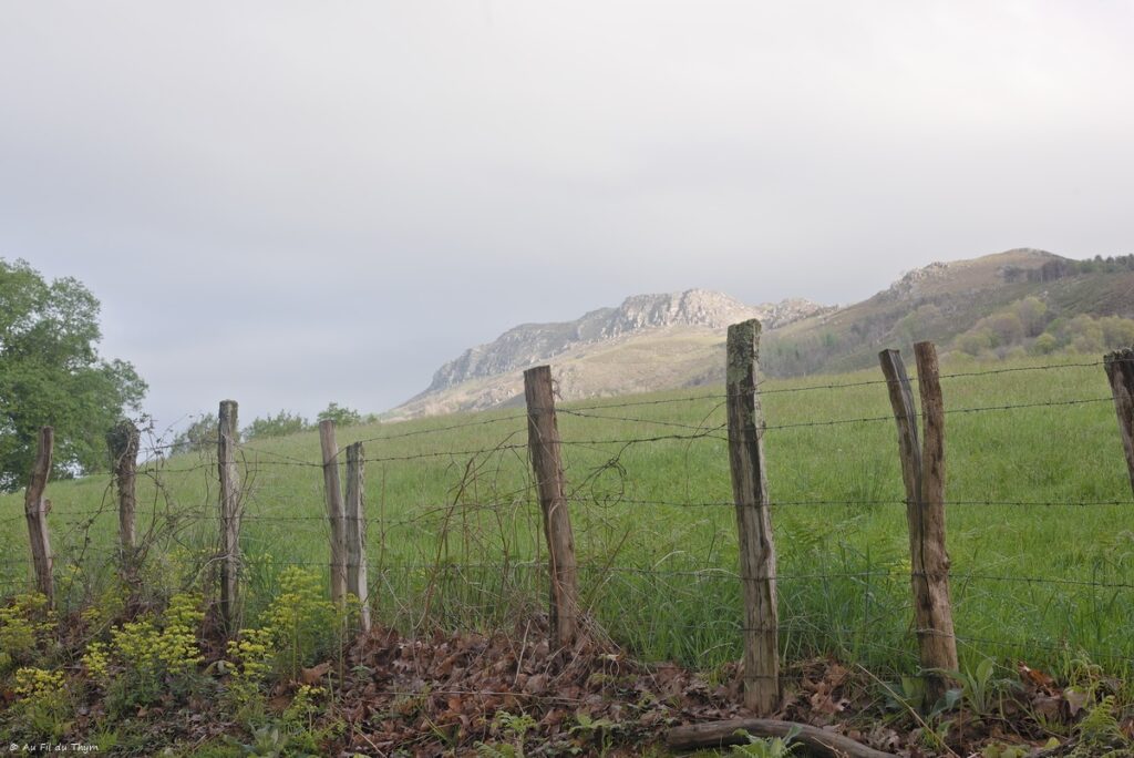 Tour de l'Ibantelli - Avril 2025