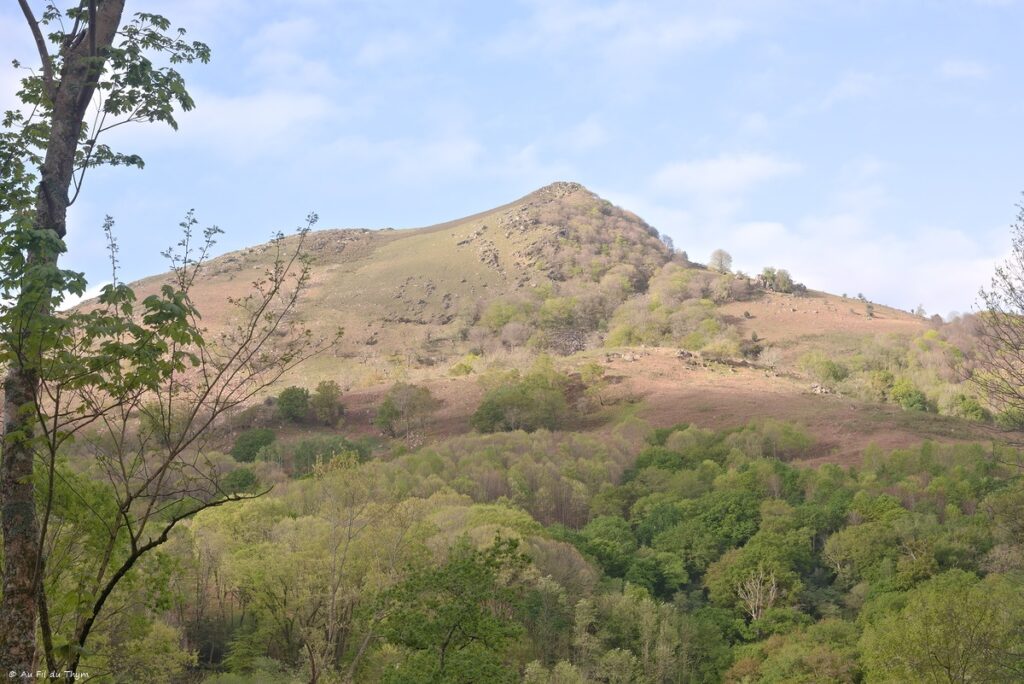 Tour de l'Ibantelli - Avril 2025