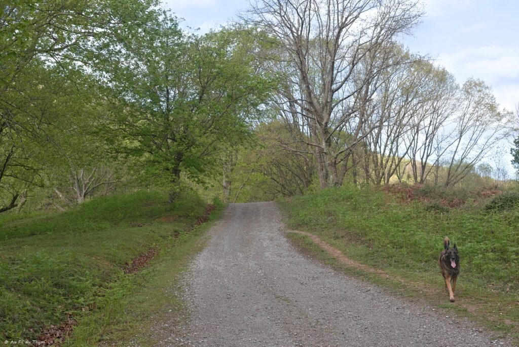 Tour de l'Ibantelli - Avril 2025